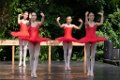 Show 08 012
